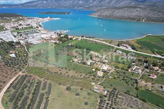 Αγροτεμάχια 7.900 τ.μ. για πώληση, Αργολίδα, Κρανίδι-thumb-11