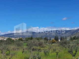 Αγροτεμάχια 7.900 τ.μ. για πώληση, Αργολίδα, Κρανίδι-thumb-10