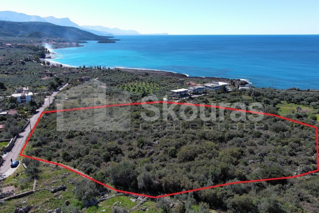 Αγροτεμάχια 14.006,28 τ.μ. προς πώληση, Καρδαμύλη