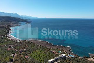 Αγροτεμάχια 14.006,28 τ.μ. για πώληση