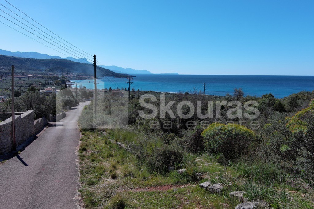 Αγροτεμάχια 14.006,28 τ.μ. προς πώληση, Καρδαμύλη