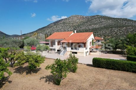 Μονοκατοικία 300τ.μ. για πώληση-Ερμιόνη