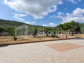 Μονοκατοικία 300 τ.μ. προς πώληση, Ερμιόνη-thumb-20