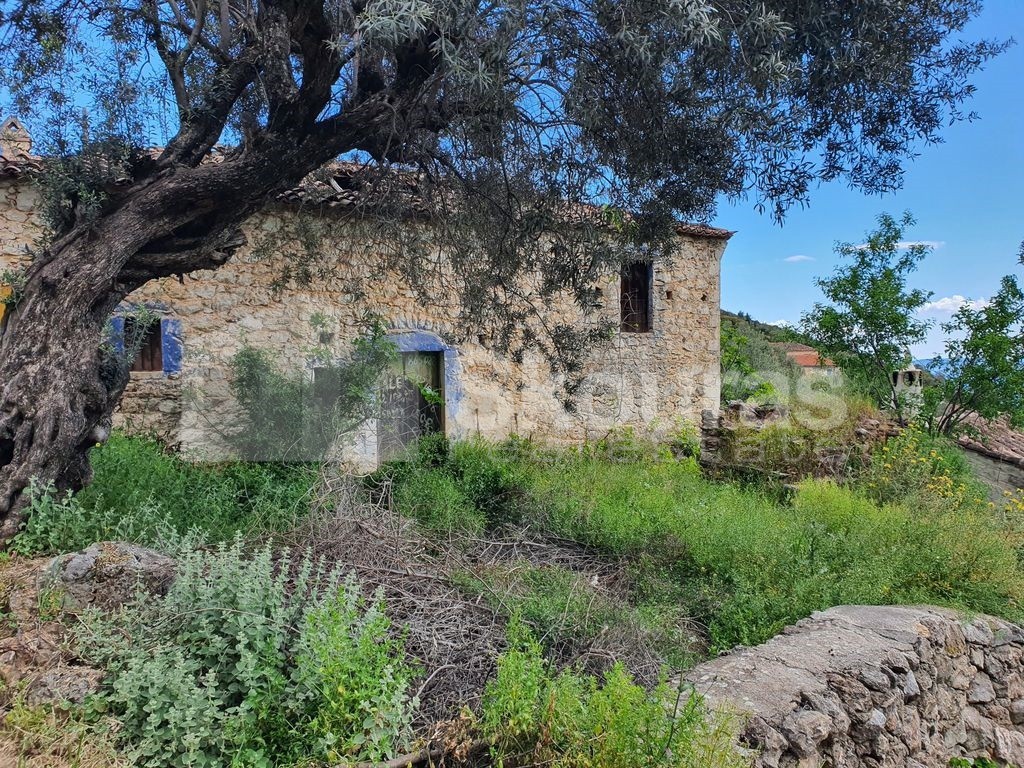 Μονοκατοικία 97,50 τ.μ. προς πώληση, Αρκαδία, Απόλλωνας