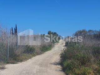 Αγροτεμάχια 4.000 τ.μ. για πώληση, Αργολίδα, Κρανίδι-thumb-10