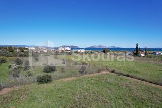 Αγροτεμάχια 4.000 τ.μ. για πώληση, Αργολίδα, Κρανίδι-thumb-14