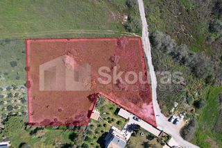 Αγροτεμάχια 4.000 τ.μ. για πώληση, Αργολίδα, Κρανίδι-thumb-2