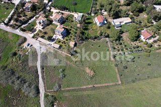 Αγροτεμάχια 4.000 τ.μ. για πώληση, Αργολίδα, Κρανίδι-thumb-24