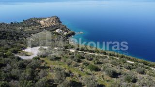 Αγροτεμάχια 23.650 τ.μ. για πώληση