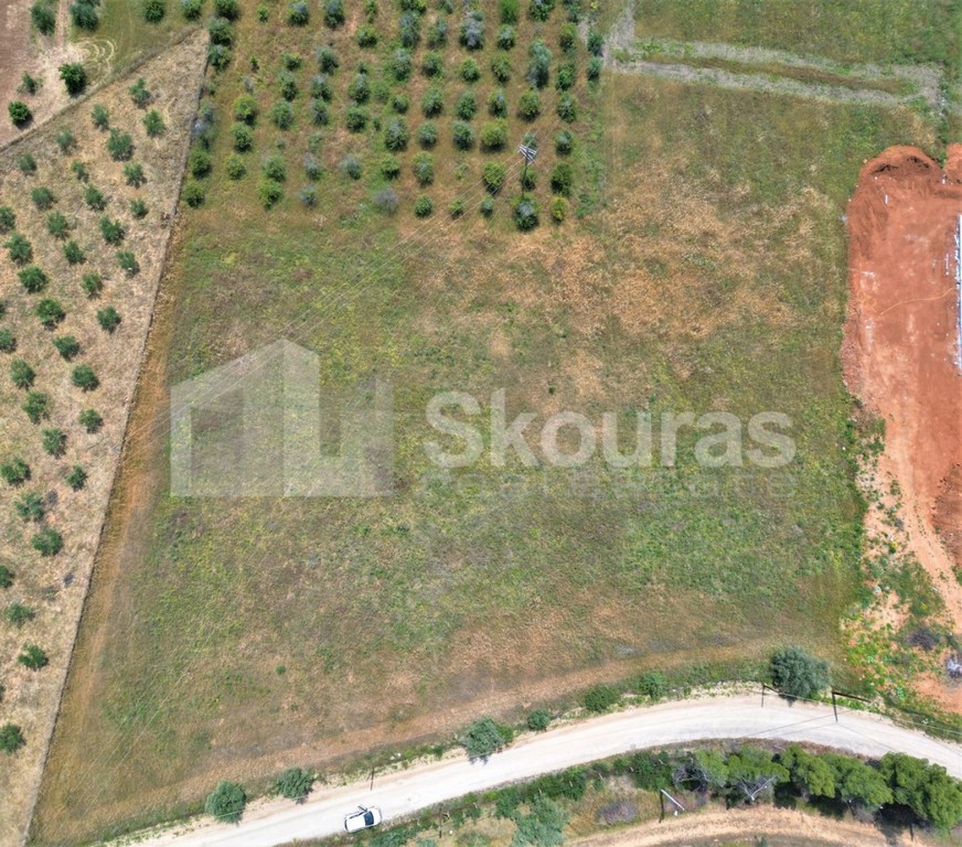 Αγροτεμάχια 4.000 τ.μ. πρός πώληση, Αργολίδα, Ναύπλιο