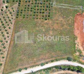 Αγροτεμάχια 4.000 τ.μ. για πώληση, Αργολίδα, Ναύπλιο-thumb-4