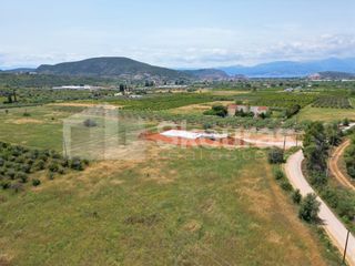 Αγροτεμάχια 4.000 τ.μ. για πώληση, Αργολίδα, Ναύπλιο-thumb-2