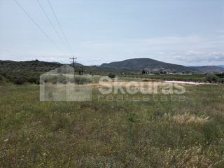 Αγροτεμάχια 4.000 τ.μ. για πώληση, Αργολίδα, Ναύπλιο-thumb-10