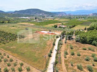 Αγροτεμάχια 4.000 τ.μ. για πώληση, Αργολίδα, Ναύπλιο-thumb-3