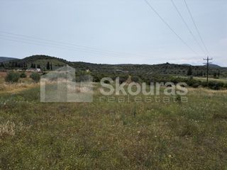 Αγροτεμάχια 4.000 τ.μ. για πώληση, Αργολίδα, Ναύπλιο-thumb-7