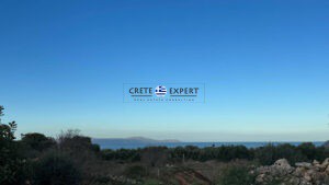 Οικόπεδο 7.696 τ.μ. προς πώληση, Χωρδάκι Ακρωτηρίου