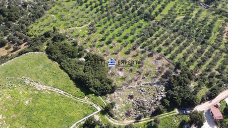 Οικόπεδο 6.846τ.μ. για πώληση-Βάμος