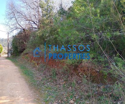 Οικόπεδο 335τ.μ. για πώληση-Θάσος