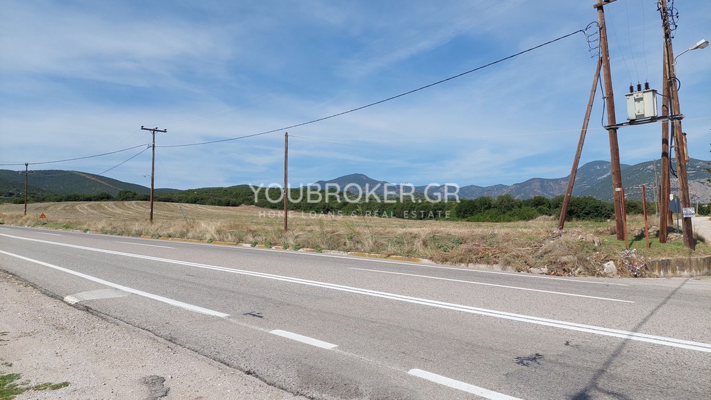 Αγροτεμάχια 26.258 τ.μ. πρός πώληση, Φθιώτιδας, Λαμία