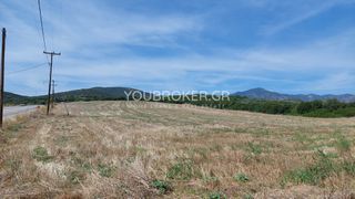 Αγροτεμάχια 26.258 τ.μ. πρός πώληση, Φθιώτιδας, Λαμία-thumb-14
