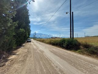 Αγροτεμάχια 26.258 τ.μ. πρός πώληση, Φθιώτιδας, Λαμία-thumb-9