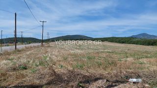 Αγροτεμάχια 26.258 τ.μ. πρός πώληση, Φθιώτιδας, Λαμία-thumb-15
