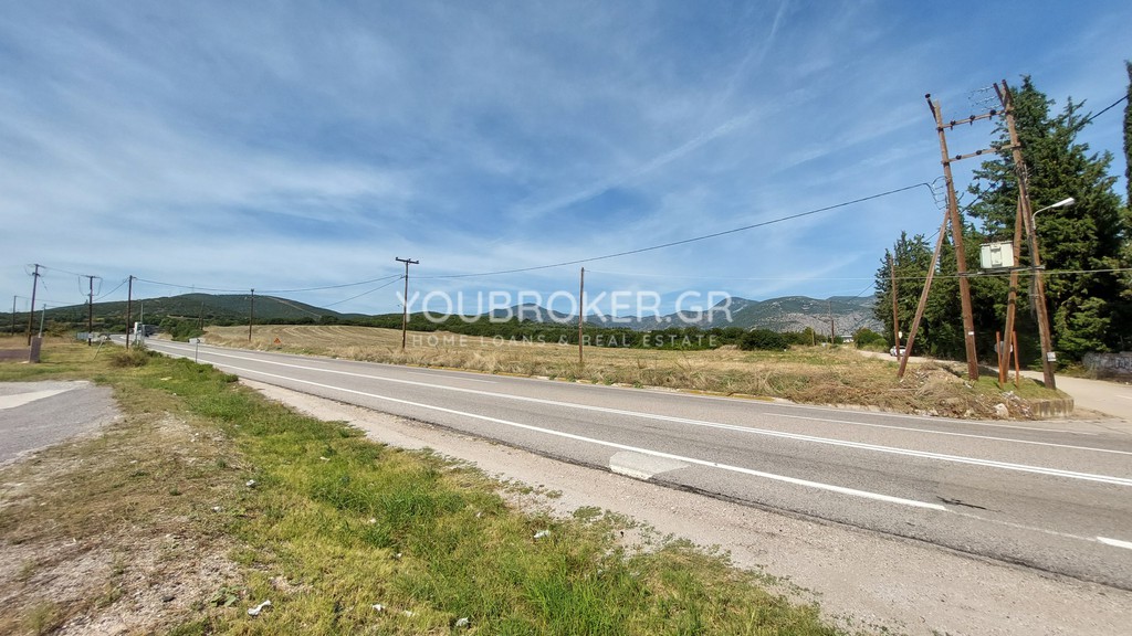 Αγροτεμάχια 26.258 τ.μ. πρός πώληση, Φθιώτιδας, Λαμία