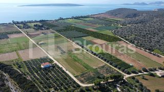 Αγροτεμάχια 9.500 τ.μ. για πώληση, Αργολίδα, Ασίνη-thumb-8