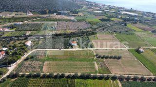Αγροτεμάχια 9.500 τ.μ. για πώληση, Αργολίδα, Ασίνη-thumb-7