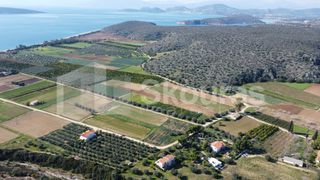 Αγροτεμάχια 9.500 τ.μ. για πώληση, Αργολίδα, Ασίνη-thumb-11