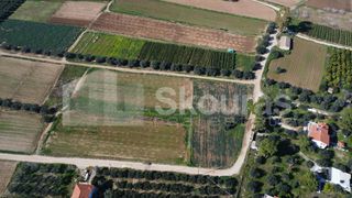 Αγροτεμάχια 9.500 τ.μ. για πώληση, Αργολίδα, Ασίνη-thumb-13