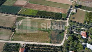 Αγροτεμάχια 9.500 τ.μ. για πώληση, Αργολίδα, Ασίνη-thumb-12