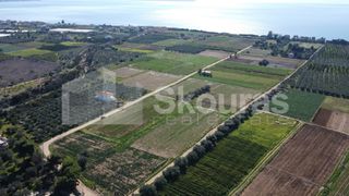 Αγροτεμάχια 9.500 τ.μ. για πώληση, Αργολίδα, Ασίνη-thumb-2