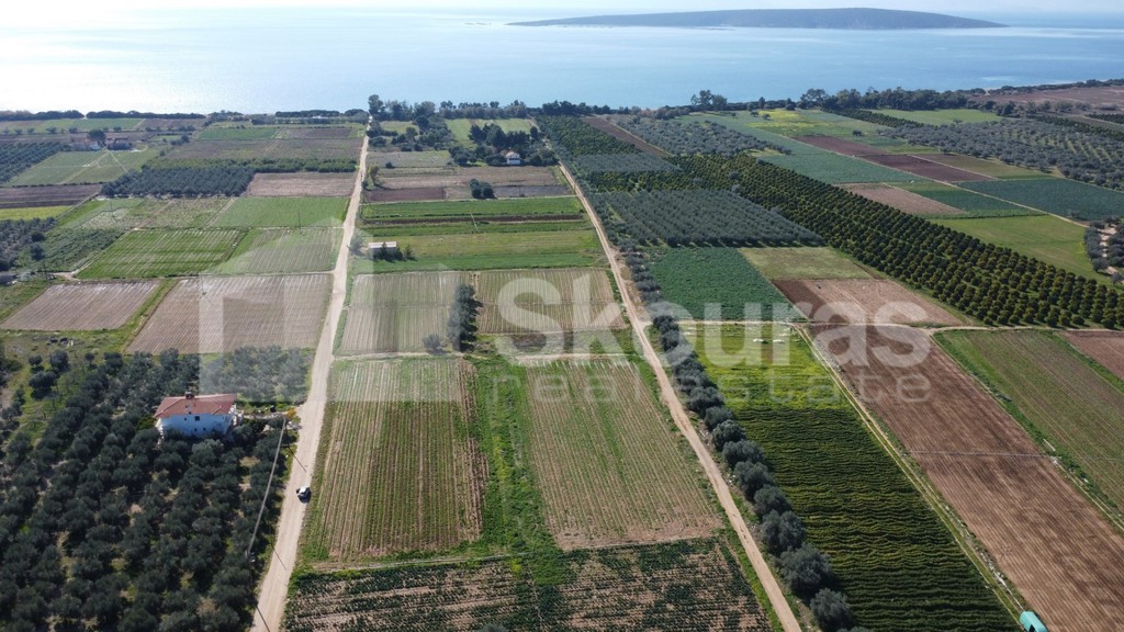 Αγροτεμάχια 9.500 τ.μ. προς πώληση, Κάντια