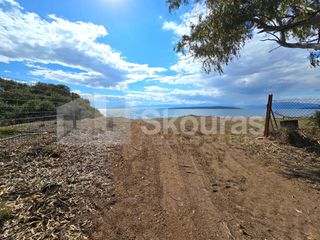 Αγροτεμάχια 9.500 τ.μ. για πώληση, Αργολίδα, Ασίνη-thumb-20