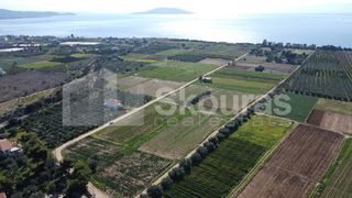 Αγροτεμάχια 9.500 τ.μ. για πώληση, Αργολίδα, Ασίνη-thumb-3