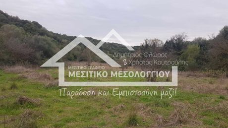 Parcel 4.114,83sqm for sale-Oiniades