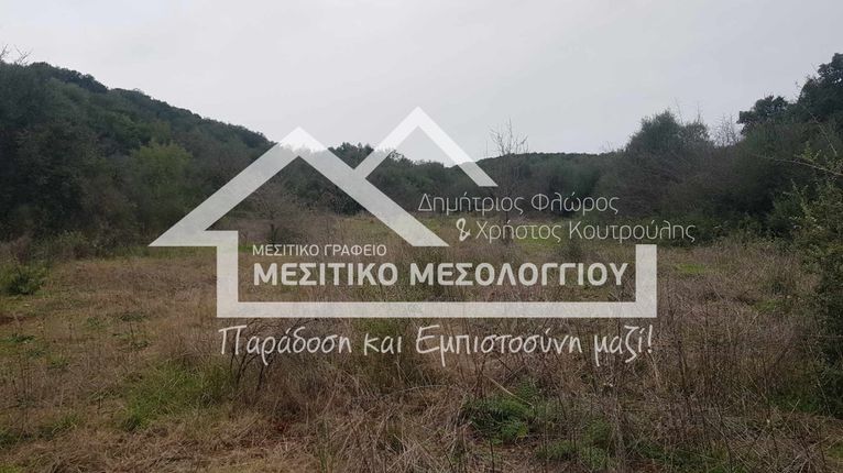 Αγροτεμάχια 9.088,45 τ.μ. για πώληση, Αιτωλοακαρνανία, Οινιάδες