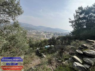 Οικόπεδο 1.141,53 τ.μ. για πώληση, Ν. Καβάλας, Καβάλα-thumb-6