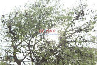 Οικόπεδο 561 τ.μ. για πώληση, Αχαΐα, Αίγιο-thumb-4