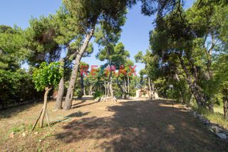 Οικόπεδο 561 τ.μ. για πώληση, Αχαΐα, Αίγιο-thumb-8