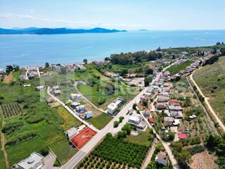 Οικόπεδο 600 τ.μ. για πώληση, Αργολίδα, Λέρνα-thumb-1