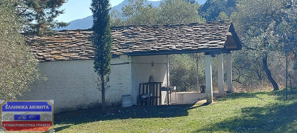 Αγροτεμάχια 8.000 τ.μ. προς πώληση, Χρυσή Αμμουδιά