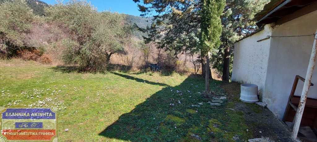 Αγροτεμάχια 8.000 τ.μ. προς πώληση, Χρυσή Αμμουδιά