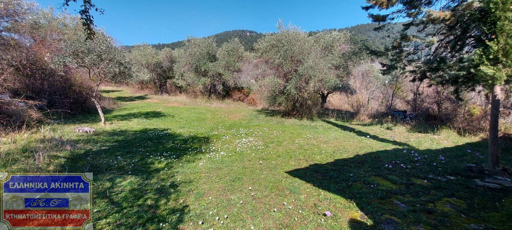 Αγροτεμάχια 8.000 τ.μ. προς πώληση, Χρυσή Αμμουδιά