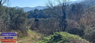 Οικόπεδο 250 τ.μ. για πώληση, Ν. Καβάλας, Θάσος-thumb-11