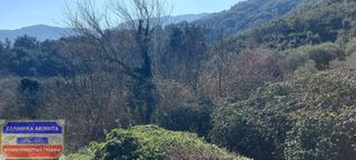 Οικόπεδο 250 τ.μ. για πώληση, Ν. Καβάλας, Θάσος-thumb-9