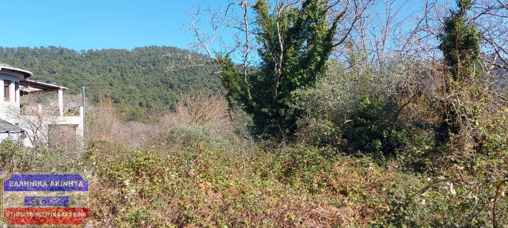 Οικόπεδο 250 τ.μ. προς πώληση, Χρυσή Αμμουδιά