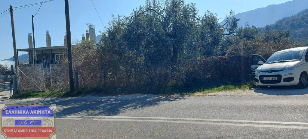 Αγροτεμάχια 3.900 τ.μ. προς πώληση, Χρυσή Αμμουδιά