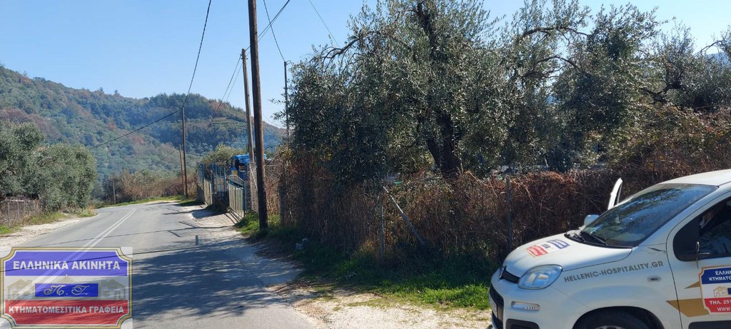 Αγροτεμάχια 3.900 τ.μ. προς πώληση, Χρυσή Αμμουδιά